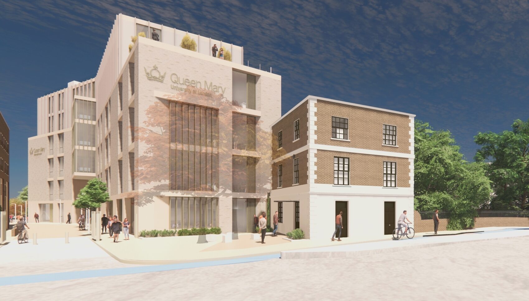 School of Business and Management