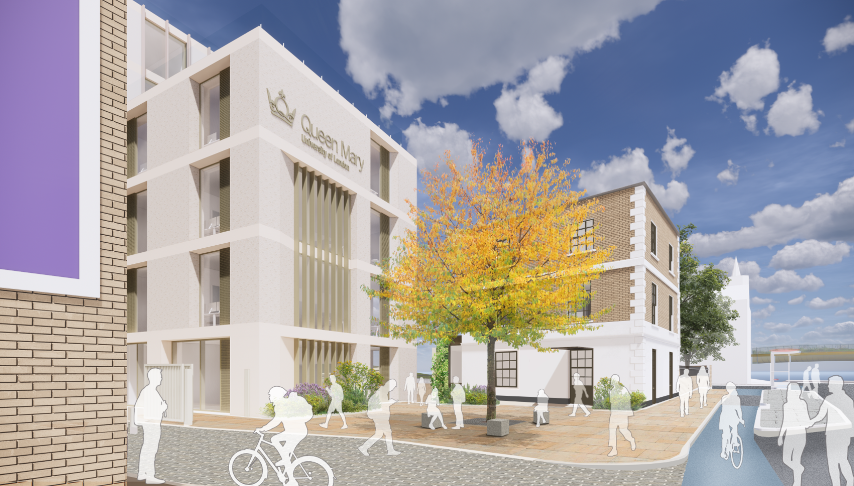 School of Business and Management