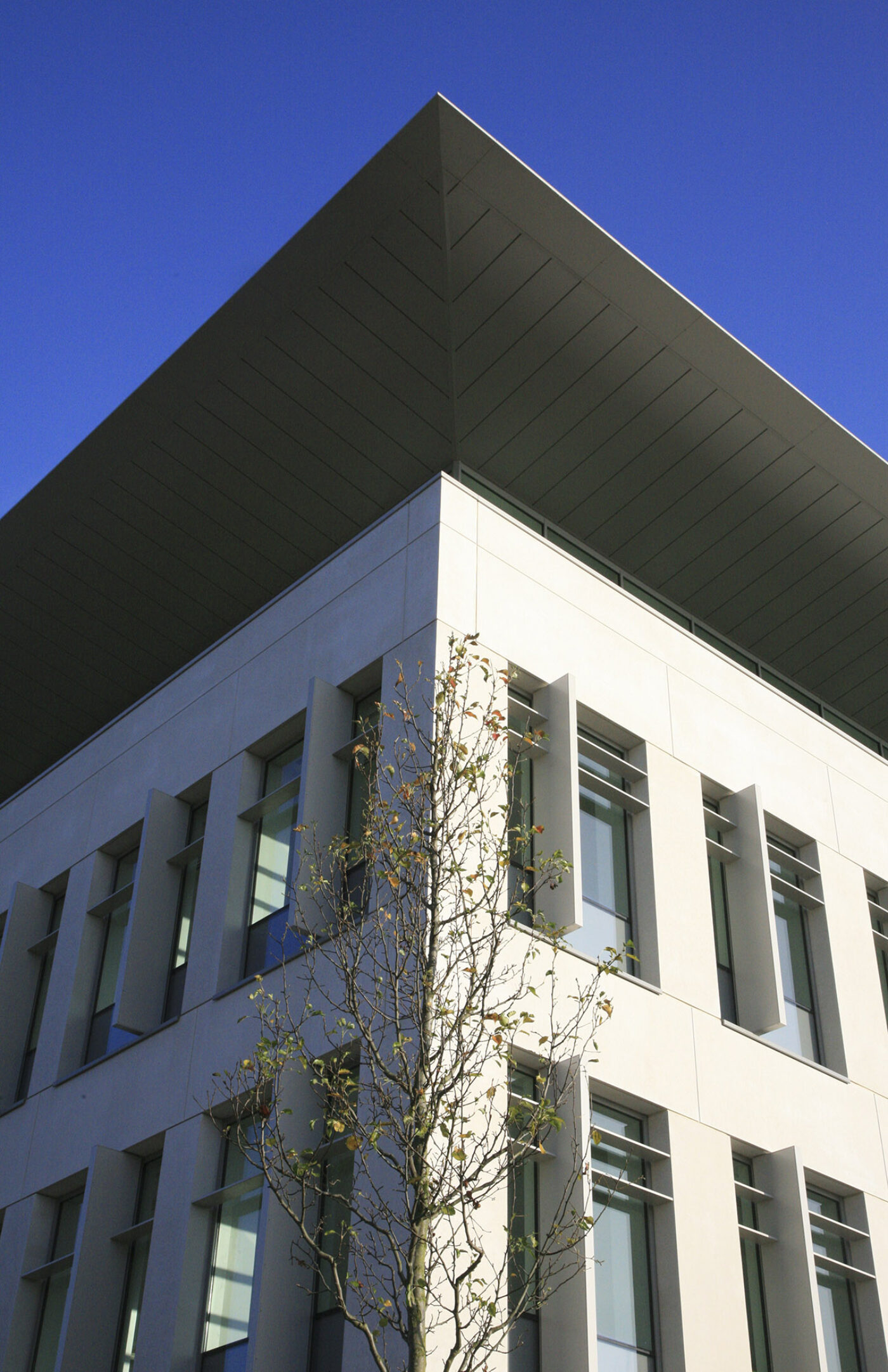 O2 Headquarters - Projects - Nicholas Hare Architects