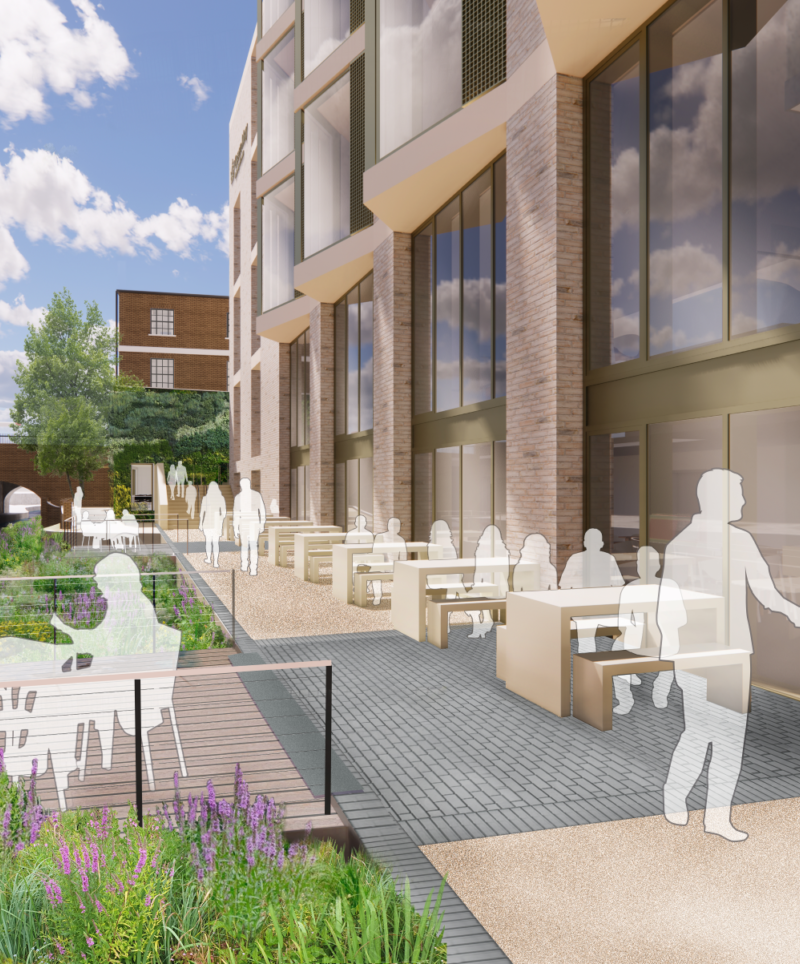 School of Business and Management